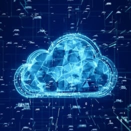 80% of companies experience security incidents in the Cloud 